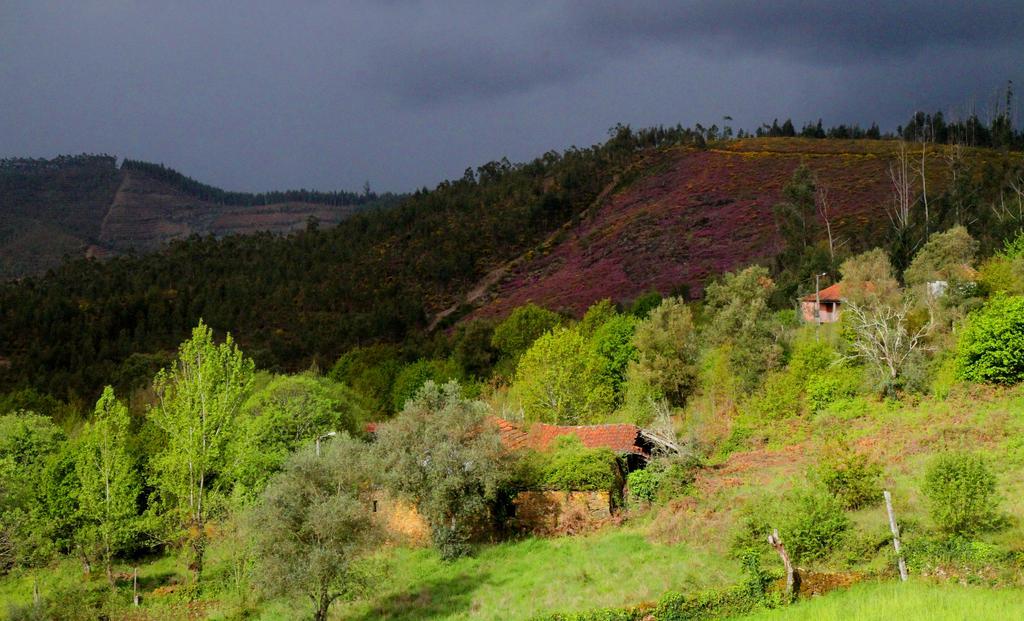 Вилла Quinta De Gildinho Экстерьер фото