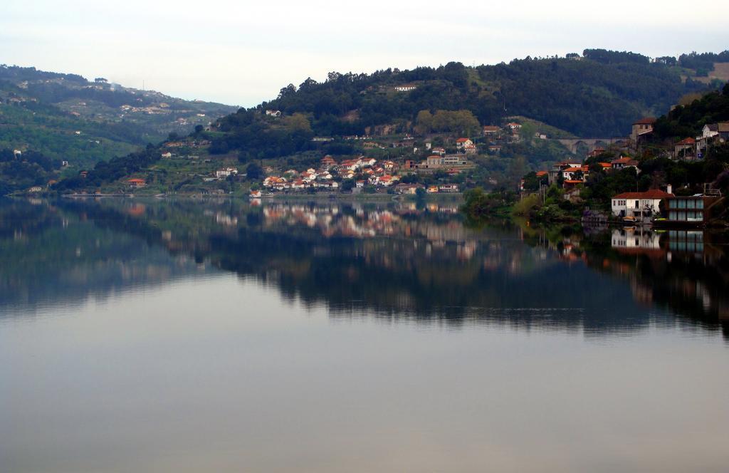 Вилла Quinta De Gildinho Экстерьер фото