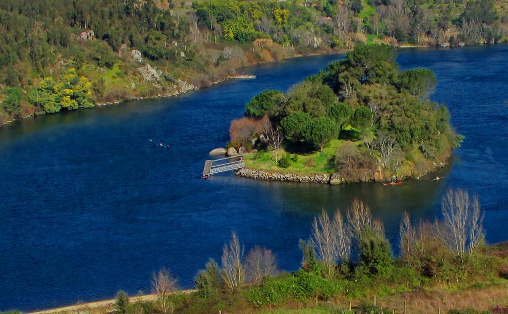 Вилла Quinta De Gildinho Экстерьер фото